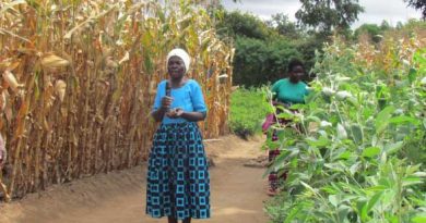 Mayi Matindiri: Zaka 76, koma akuchilimikabe pa ulimi