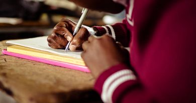 SEED idandaula ndi kuchepa kwa ndalama