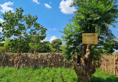 One Acre Fund’s programmes changing lives for the better in Balaka